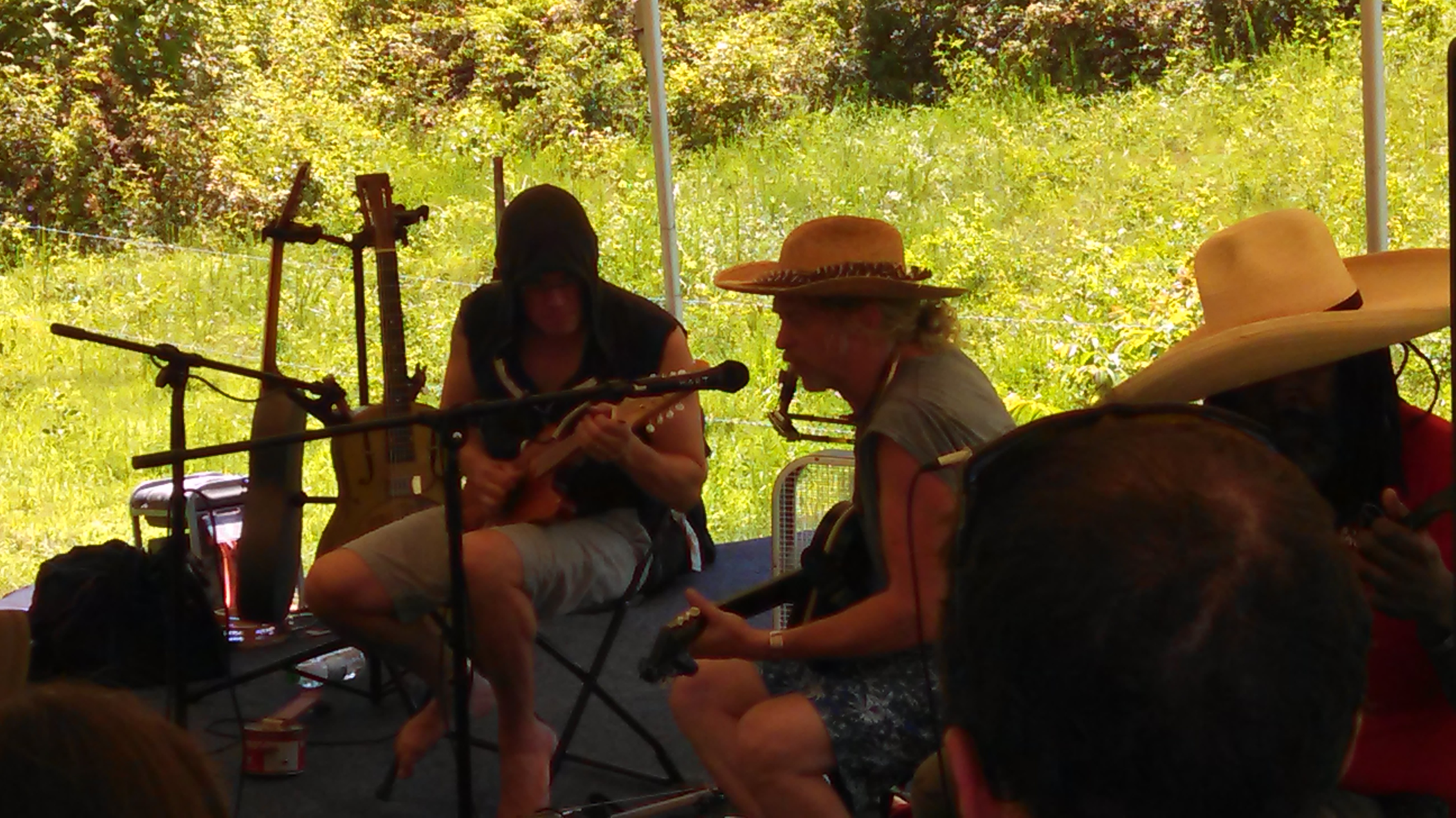 SouthMemphisStringBand2015-06-26NorthMississippiHillCountryPicnicWaterfordMS (2).jpg